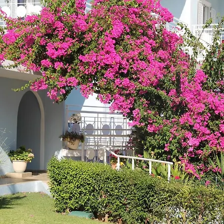 מלון Pelagos Bay Hotel