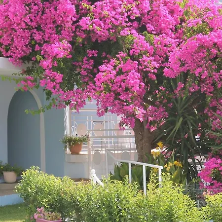 Pelagos Bay Hotel 3* 凯法利尼亚