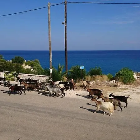 Pelagos Bay Hotel Hotel